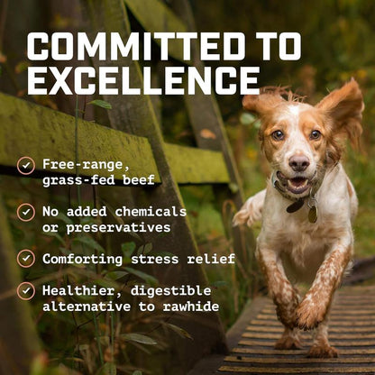 BullyBites™ 12” Natural Dog Chew Sticks – 5 lb Pack