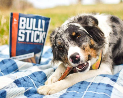 BullyBites™ 12” Natural Dog Chew Sticks – 5 lb Pack